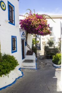 佐賀の一棟貸し古民家での特別な体験とは？