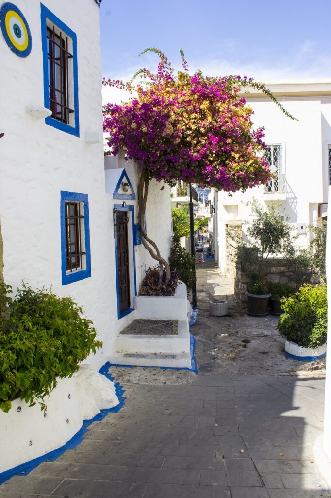 佐賀の一棟貸し古民家での特別な体験とは？