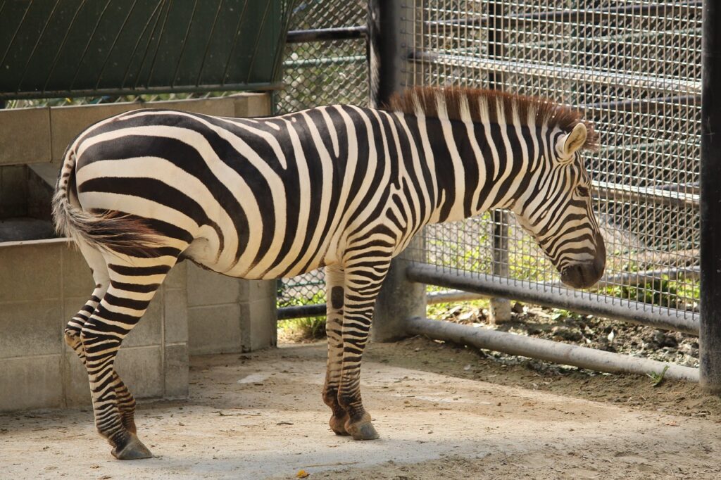 福岡の温泉で楽しむ女子会におすすめのスポットは？
