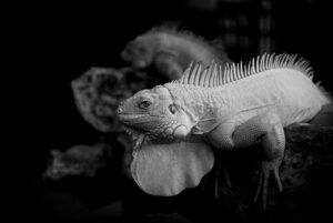 グランピングで楽しむ九州のおすすめスポットは2人にぴったり？