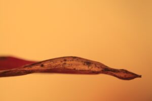 大分の映えスポットでインスタ映えする場所は？