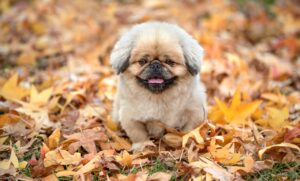 tokimeki佐賀で体験できるおすすめのアクティビティは？