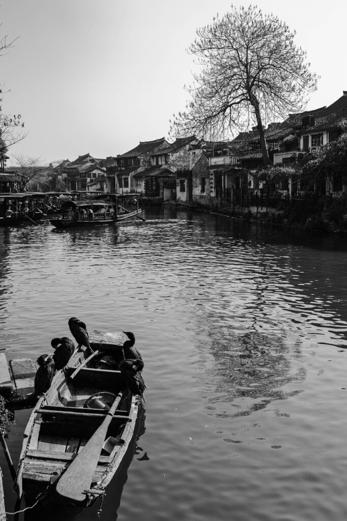 屋久島の女子旅におすすめの古民家宿は？