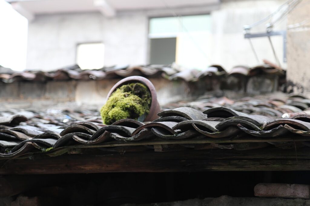 美山町で女子旅にぴったりな古民家宿はどこ？