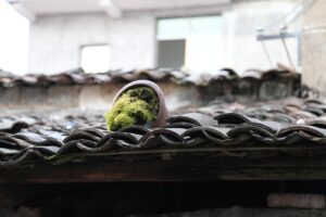 美山町で女子旅にぴったりな古民家宿はどこ？