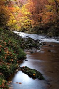 青森県で女子旅におすすめの民宿と露天風呂は？
