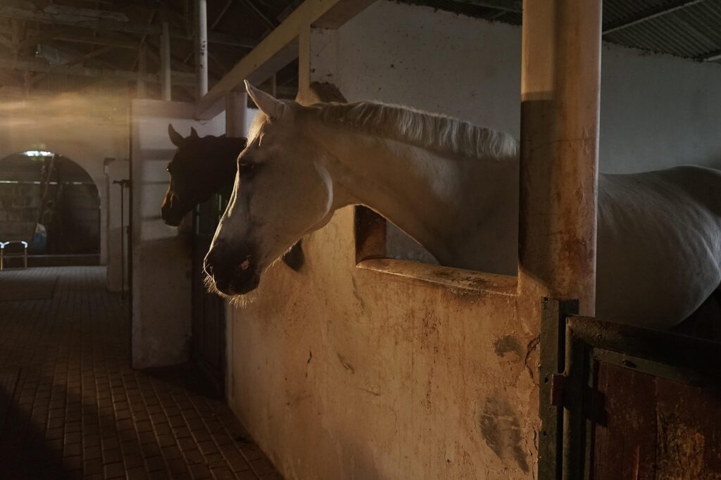 女子旅で選ぶべき白馬のおしゃれホテルはどこ？